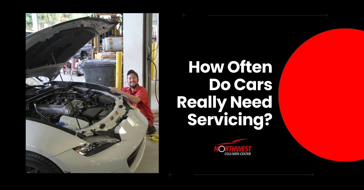 Mco To Port Canaveral Transportation